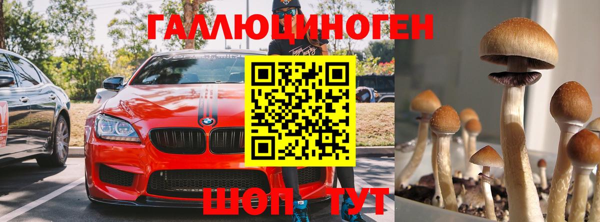 Клинцы  Псилоцибиновые грибы GOLDEN TEACHER  как найти наркотики  Вход с VPN  Галлюциногенные грибы Magic Shrooms 